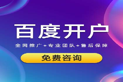热门SEM运营公司案例深度剖析